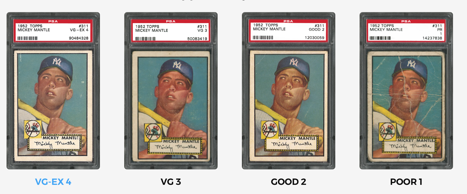 How to Get Baseball Cards Graded: A Comprehensive Guide