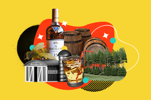 The Honey Hole│Best Macallan Whiskey to Invest in 2023