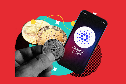 The Complete Beginner’s Guide to Cardano: Is it a Good Investment?