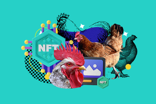 High Eggs-pectations: Investing in Chikn Farm NFTs