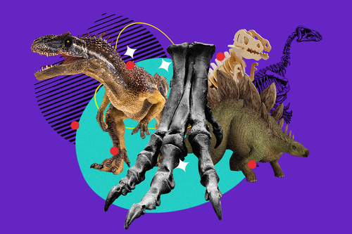 Jurassic Measures: Are Dinosaur Bones A Good Investment?