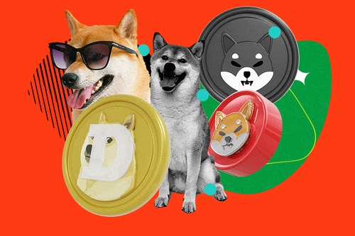 Raise the Woof: A Guide to the Shiba Inu Ecosystem